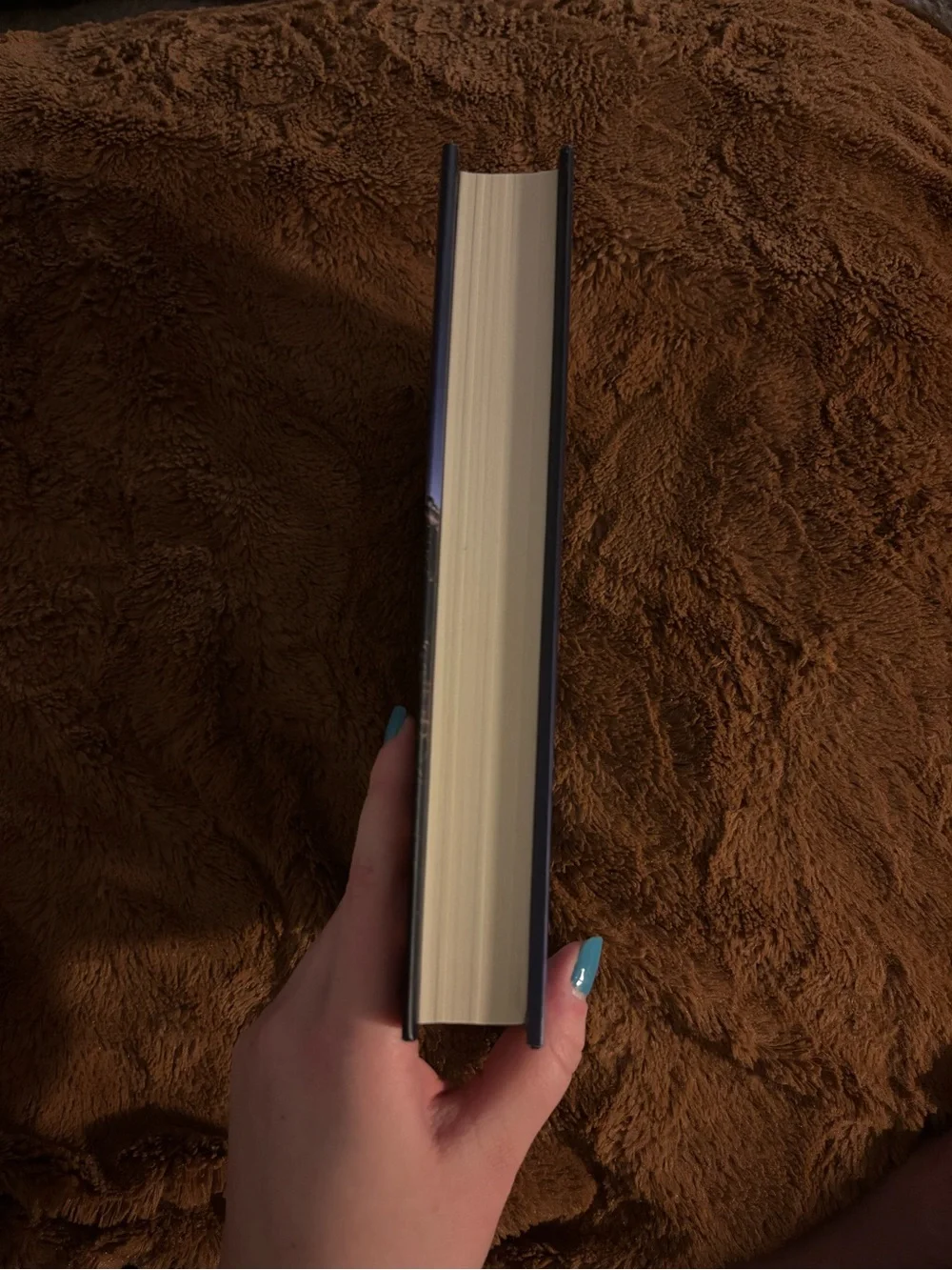 Theme Music by T. Marie Vandelly Hardcover Book